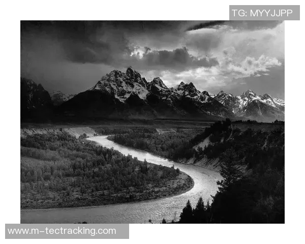 亚当斯的传奇人生与影响力探讨：从历史到现代的深刻启示